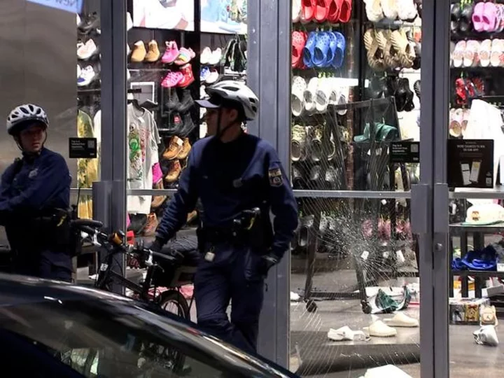 More than a dozen people were arrested after multiple stores were looted around Philadelphia, police say