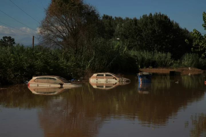 Floods wiped out quarter of Greek farm produce: experts