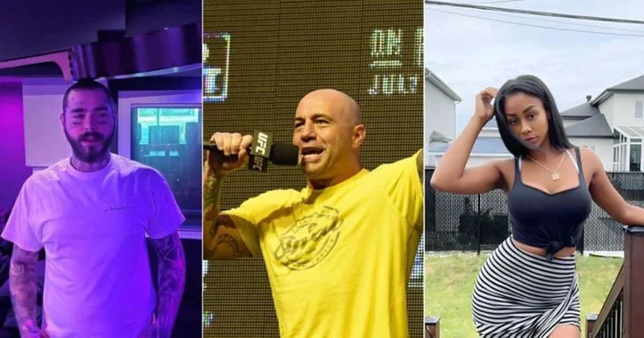 Joe Rogan and Post Malone discuss 'beautiful' creator Pinkydoll as TikTok NPC trend's success stuns duo: 'Kind of crazy'