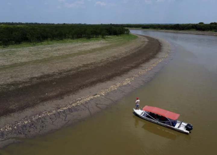 More than 100 dolphins found dead in Brazilian Amazon as water temperatures rise to record levels