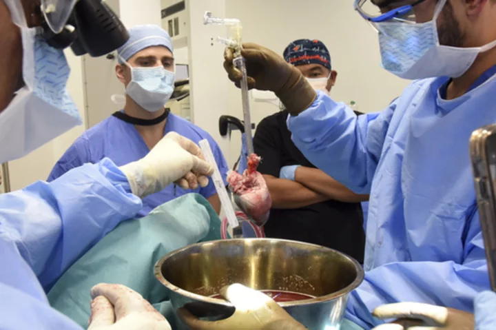 Surgeons perform second pig heart transplant, trying to save a dying man