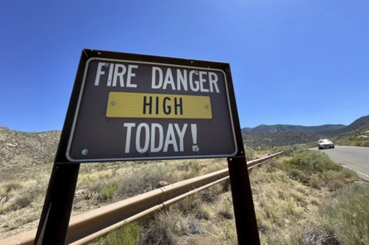 US forest managers urge revelers to swap fireworks for Silly String, but some say not so fast