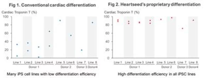 Heartseed Succeeds in Stable Production of High Purity Cardiomyocytes Using iPS Cells from I Peace, A Major Step Forward in Advancing Autologous Cardiac Regenerative Medicine