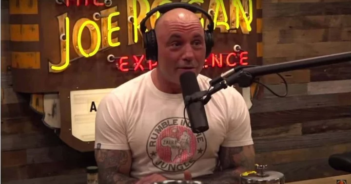 Joe Rogan exposes dark temptations that lurk beneath MMA artist's fitness obsession: 'Gonna feel like dog s**t'