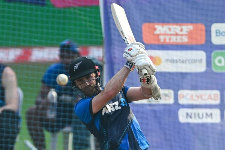 Williamson relishing 'special' India semi-final