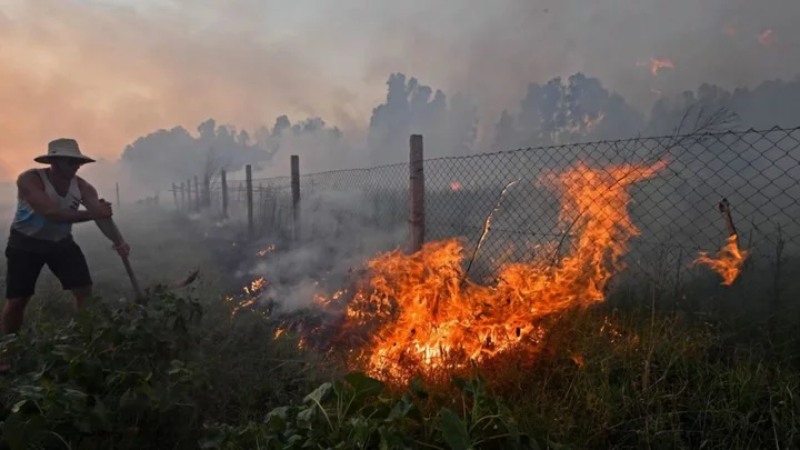 Algeria wildfires: Dozens killed and thousands evacuated