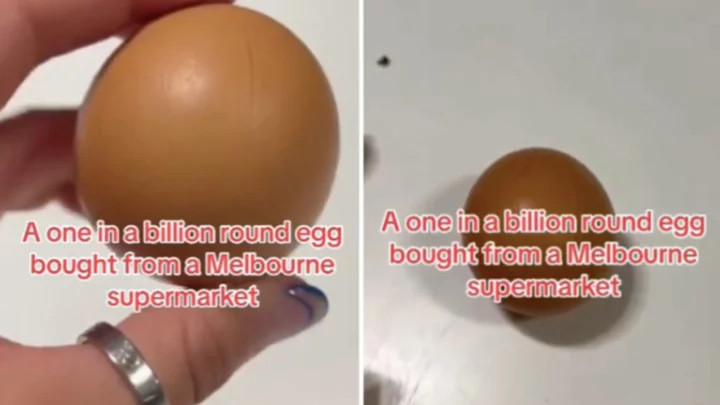 'One in a billion' perfectly round egg found in supermarket