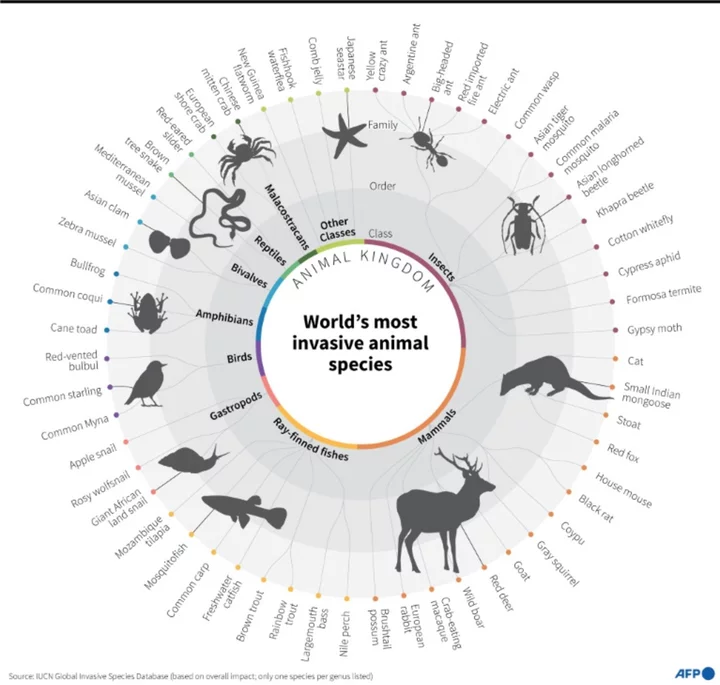 Invasive species a growing and costly threat, key report to find