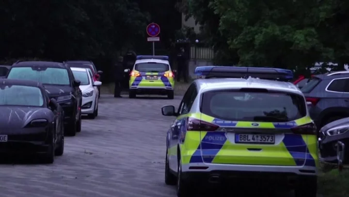 Berlin: Police search for lioness on loose around German capital