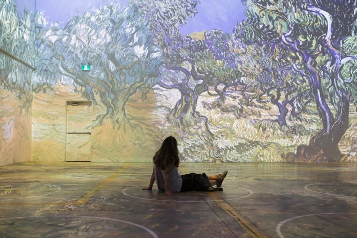 Company Behind Immersive Van Gogh Exhibit Goes Bankrupt