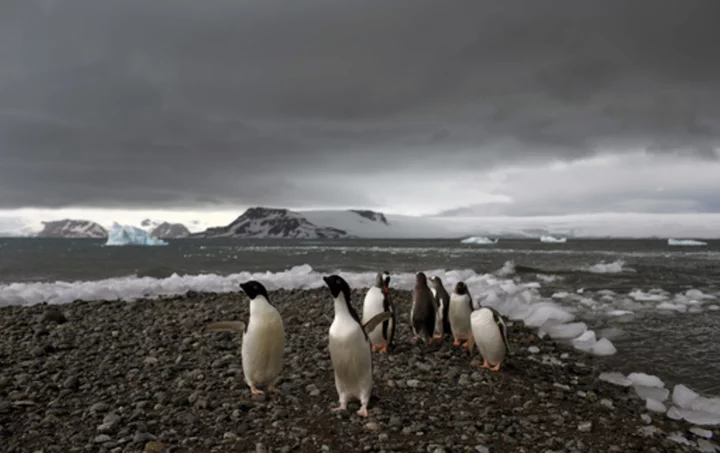 Even frozen Antarctica is being walloped by climate extremes, scientists find