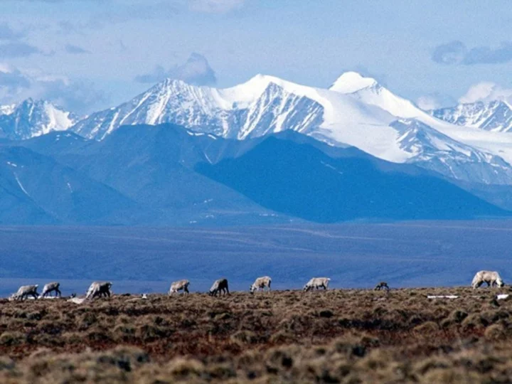 Biden administration cancels remaining oil and gas leases in Alaska's Arctic Refuge