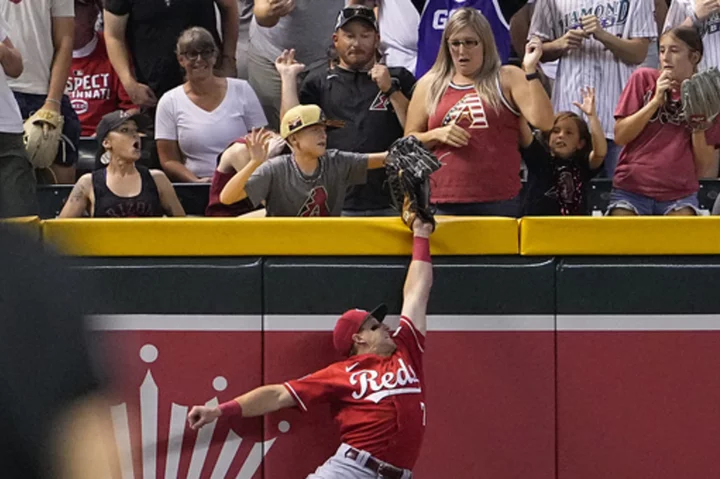 Arizona's Pham robbed of homer by fan who stole the ball from Steer