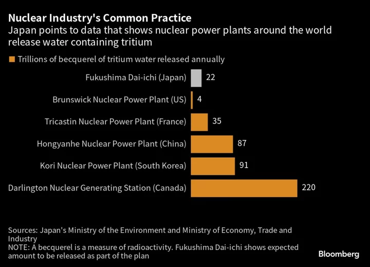 IAEA Says Plan to Discharge Fukushima Wastewater Is Safe