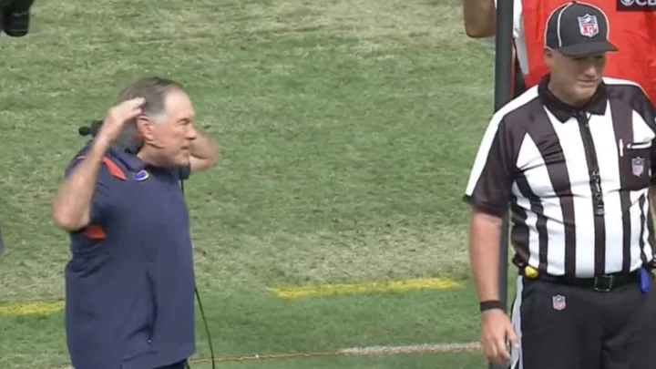 Bill Belichick Rips Into Referee After Bizarre No-Call on Dolphins