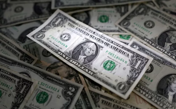 Dollar rises as hawkish central banks dent risk sentiment, sterling slips