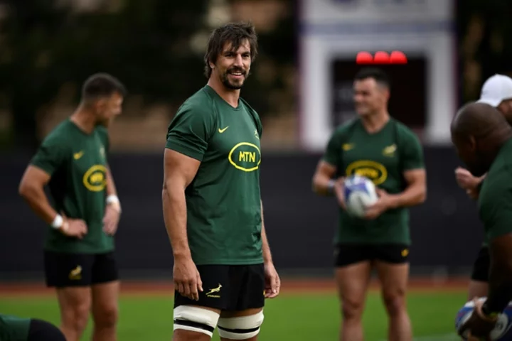 Springboks coach Nienaber 'excited' at Irish World Cup challenge