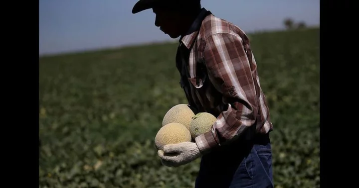 Cantaloupe recall: Arizona reports highest salmonella cases as 7 people fall sick