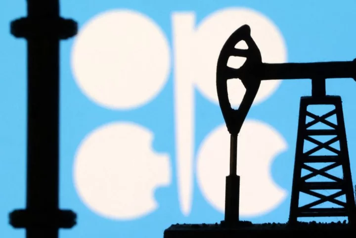 OPEC+ expects global economy to weather challenges