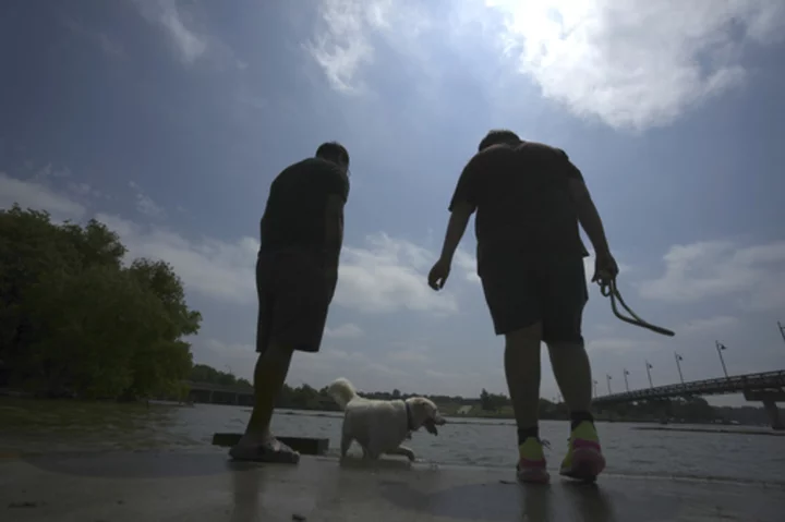 Texas power grid asks customers to cut electricity use as heat wave scorches southern US