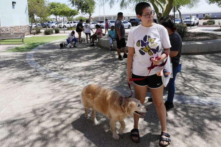 ThunderShirts, dance parties and anxiety meds can help ease dogs' July 4th dread