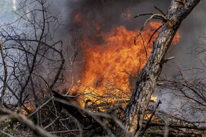 Wildfire on German military training site contamined with ammunition