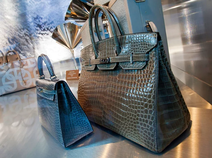 Hermes Surpasses Rivals With Strong US Birkin Bag Demand