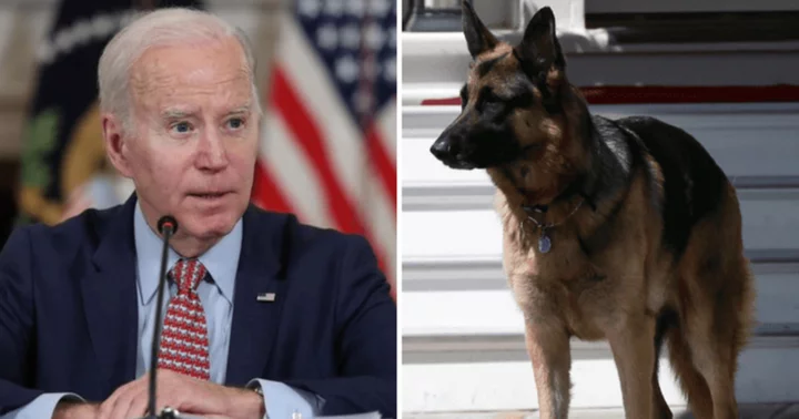 Joe Biden's pet Commander attacks Secret Service officer in 11th incident, Internet says 'not the poor dog's fault'