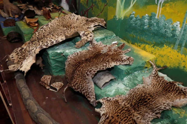 Like Escobar, Ecuador's drug lords build 'narco-zoos'