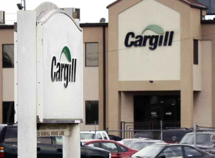 Agribusiness giant Cargill not doing enough to fight deforestation, protect human rights, group says