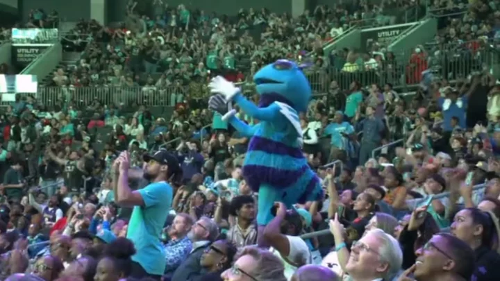 Hornets Mascot Doesn't Look Happy With Brandon Miller Pick