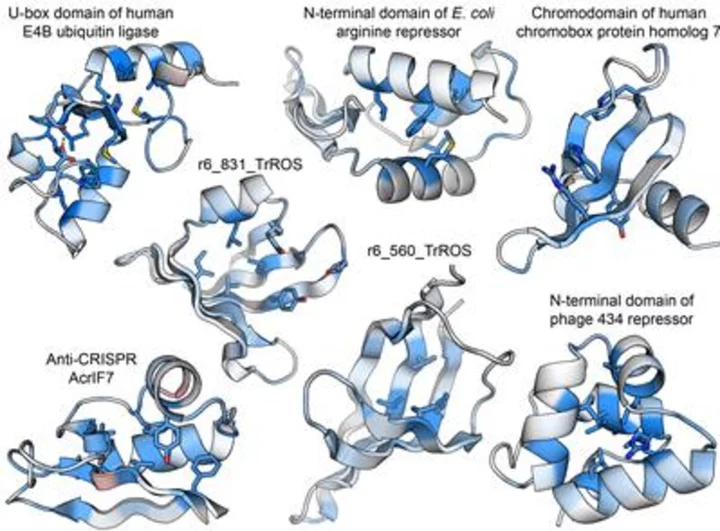 OpenFold Drug Discovery AI Research Consortium Announces Funding of Large-Scale Protein Data Collection at Prof. Gabriel Rocklin’s Laboratory at Northwestern University