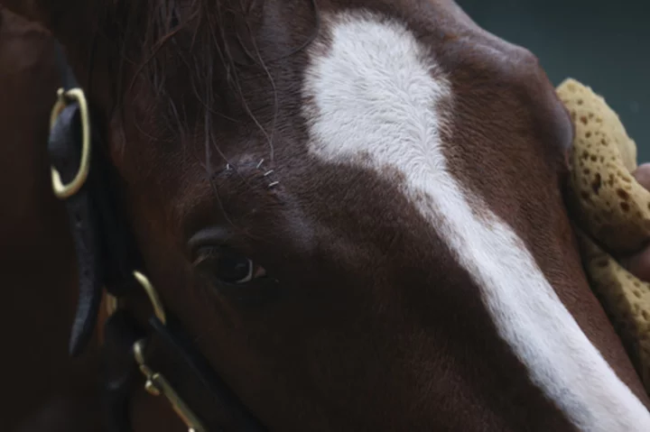 Mage's Triple Crown bid ends after finishing third in Preakness