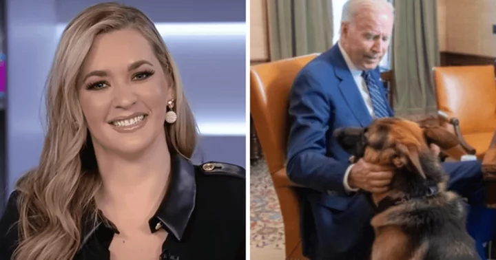 Katie Pavlich warns Joe Biden to stop 'owning' dogs as she points out worrying pattern amid Commander's removal from White House