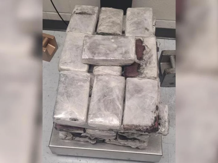 That's not how you make frozen yogurt: US customs officers seize large cocaine stash hidden in ice cream maker