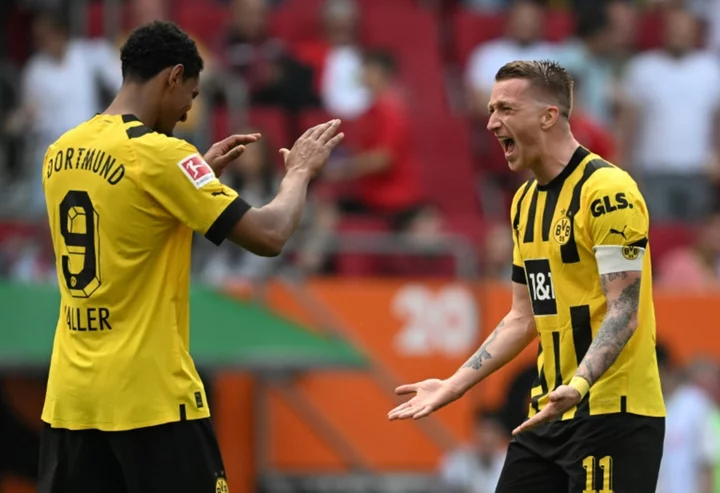 Dortmund boss Terzic praises Haller 'miracle' with title in sight