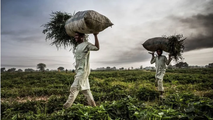 Nigeria's President Bola Tinubu declares state of emergency over food