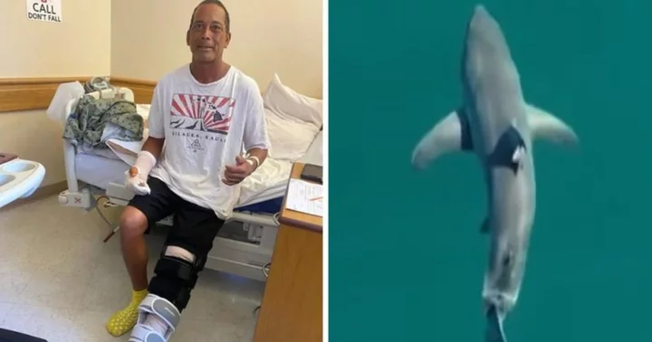 Who is Kevin Kanehe? Hawaii surfer almost lost his leg after being attacked by nearly 15-foot-long tiger shark