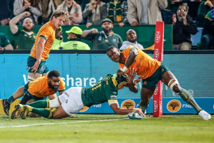 Arendse recalled as Springboks make nine changes for Pumas