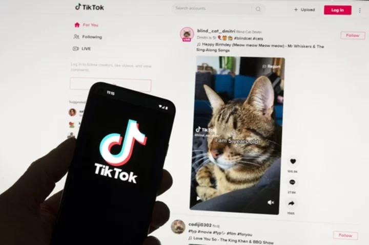 TikTok's Irish data center up and running as European privacy project gets under way