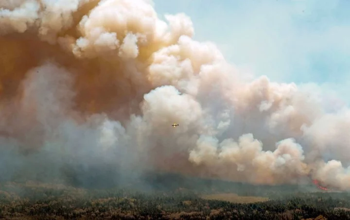 Explainer-Where are the Canada wildfires and are they under control?