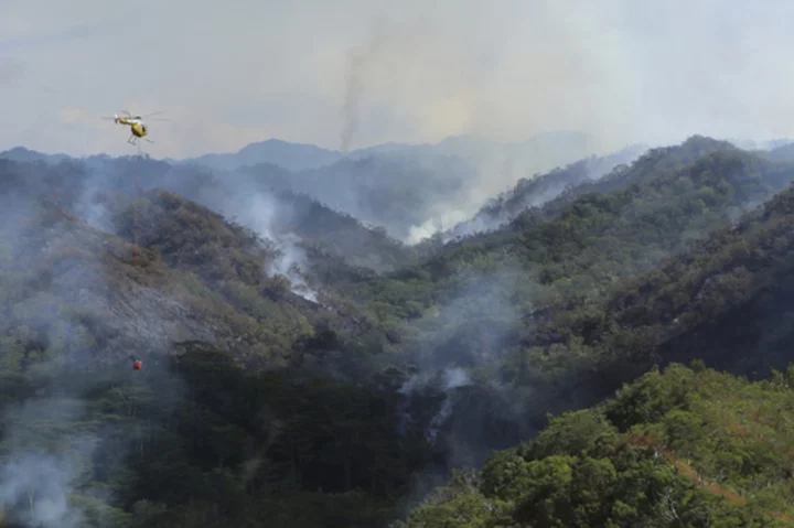 There's another wildfire burning in Hawaii. This one is destroying irreplaceable rainforest on Oahu