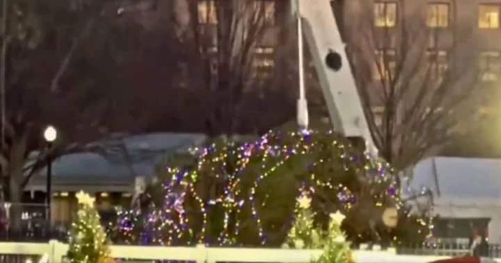 Internet has hilarious reaction to video of While House's National Christmas Tree toppling due to strong winds