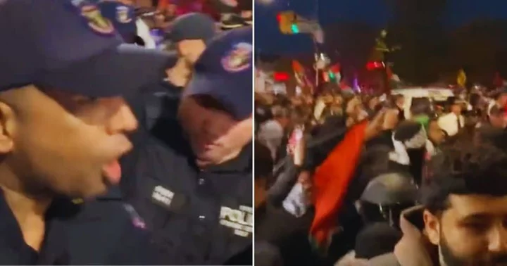 'It's a riot, not a protest': Internet backs NYPD after footage of cops 'attacking' #FreePalestine protesters goes viral