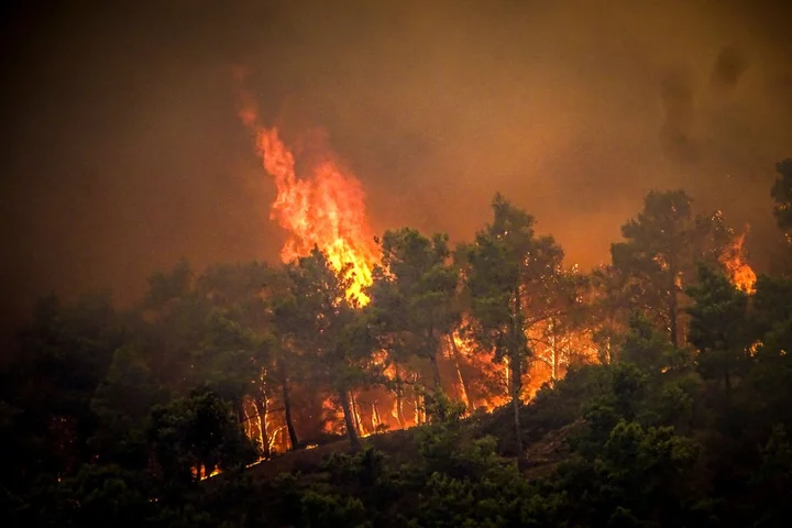 Greece fires - live: Jet2 and Tui scrap Rhodes flights as tourists fleeing island describe ‘hell on earth’