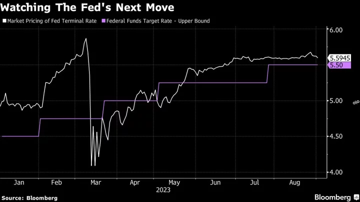 Stocks Cede China-Led Gains in Thin Holiday Trade: Markets Wrap