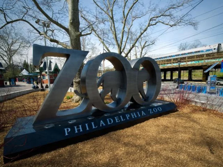 Philadelphia Zoo officials say dye may have killed its five meerkats