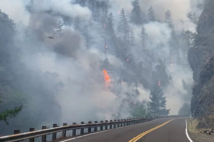 Firefighters battling lightning-sparked blazes in Northern California get help from light rain