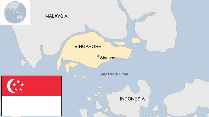 Singapore country profile