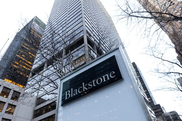 Blackstone acquires International Gemological Institute